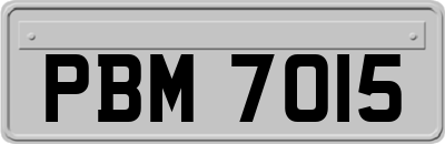 PBM7015