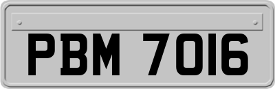 PBM7016