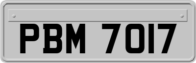 PBM7017