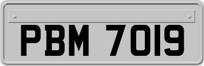 PBM7019