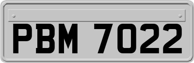 PBM7022