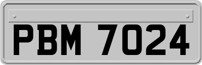 PBM7024