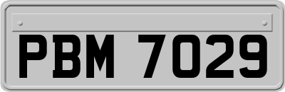 PBM7029