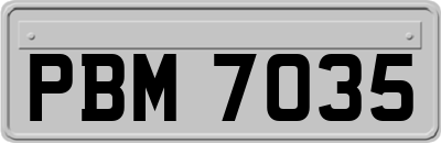 PBM7035