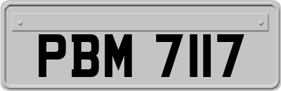 PBM7117