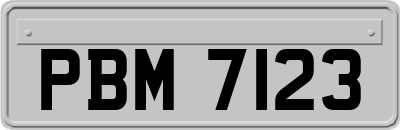 PBM7123