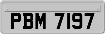 PBM7197