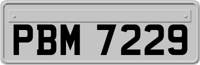 PBM7229