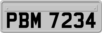 PBM7234