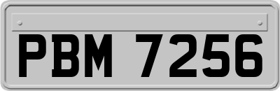 PBM7256