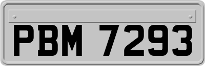 PBM7293