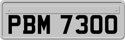 PBM7300