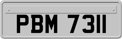 PBM7311