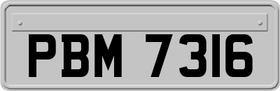 PBM7316