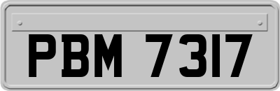 PBM7317