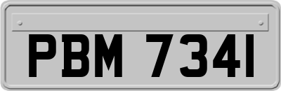 PBM7341