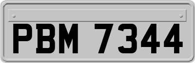 PBM7344