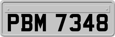 PBM7348