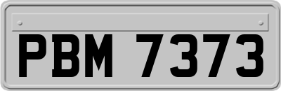 PBM7373