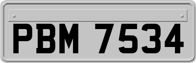 PBM7534