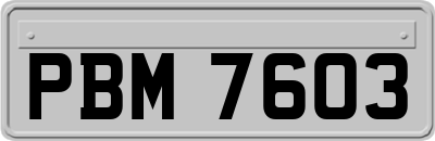 PBM7603