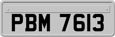 PBM7613