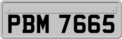 PBM7665