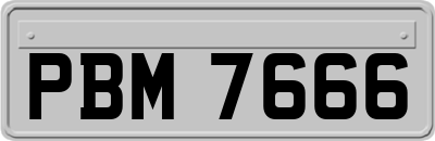 PBM7666