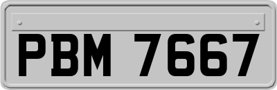 PBM7667