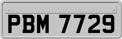 PBM7729