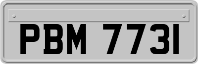 PBM7731