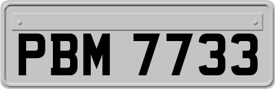 PBM7733