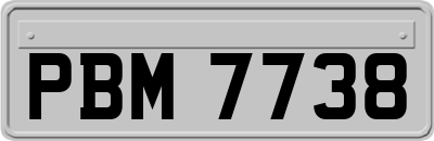 PBM7738