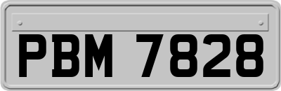 PBM7828