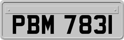 PBM7831