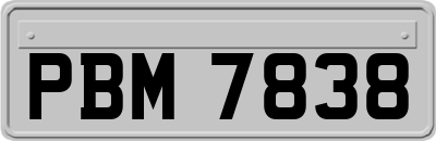 PBM7838