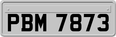 PBM7873