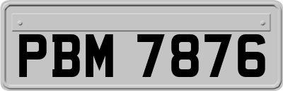 PBM7876