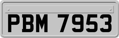 PBM7953