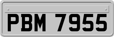 PBM7955