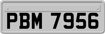 PBM7956