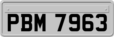 PBM7963