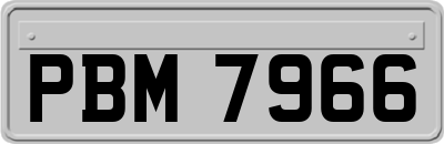 PBM7966