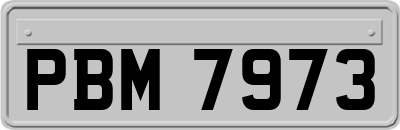 PBM7973