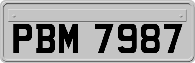 PBM7987