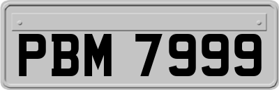 PBM7999