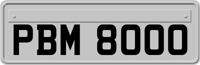 PBM8000