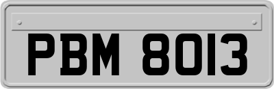 PBM8013