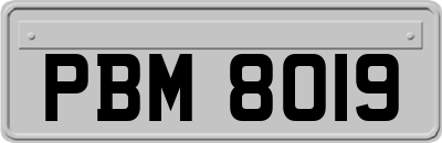 PBM8019