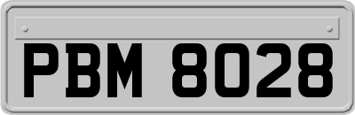 PBM8028